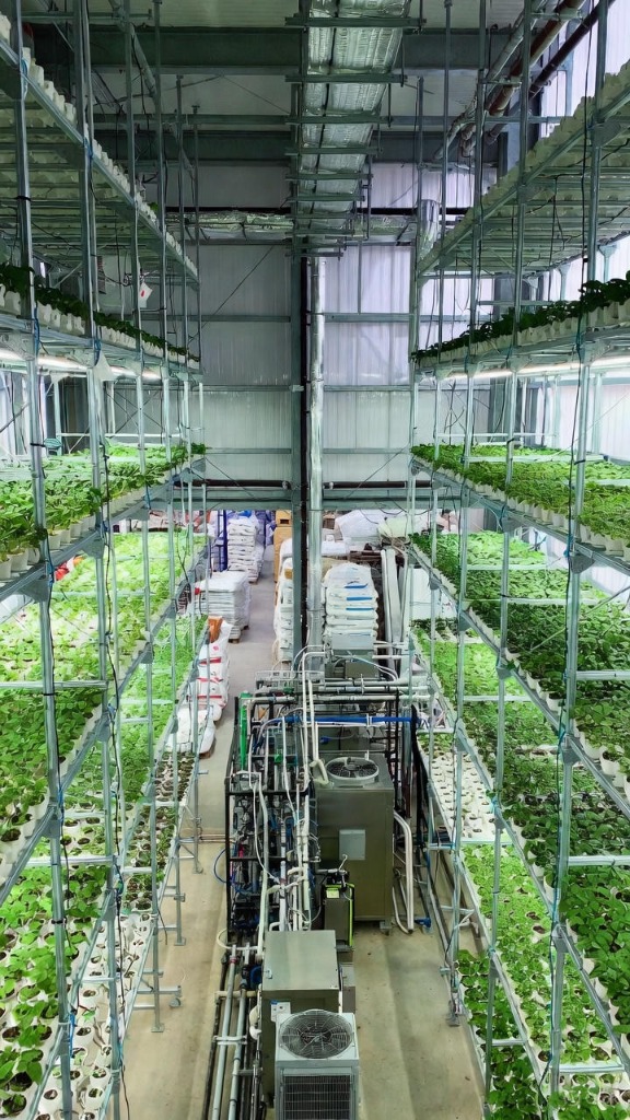 Smart Farm Consulting